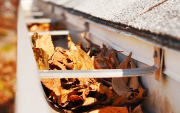 Pandy gutter cleaning companies