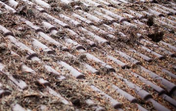 Pandy roof cleaning companies