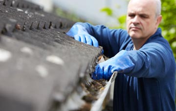 cleaning and inspecting Pandy roofs