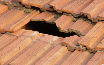 roof repair Pandy