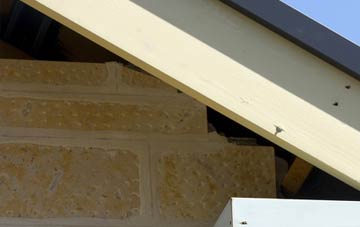 soffit repair Pandy