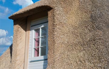 Pandy thatch roof disadvantages