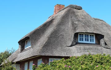 thatch roofing Pandy