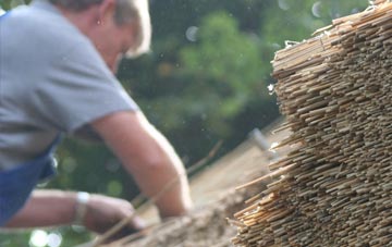 professional Pandy thatchers