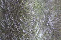Pandy fibreglass roof work