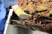 Pandy gutter cleaners