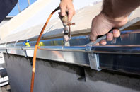 free Pandy fascia quotes