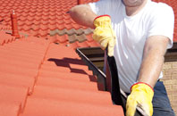 Pandy roof cleaners